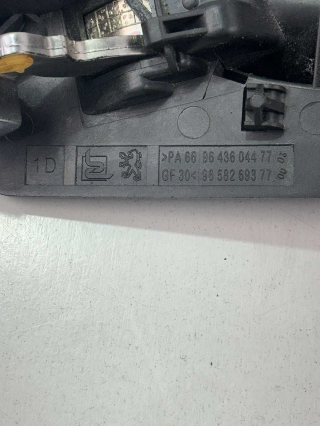 Image #3