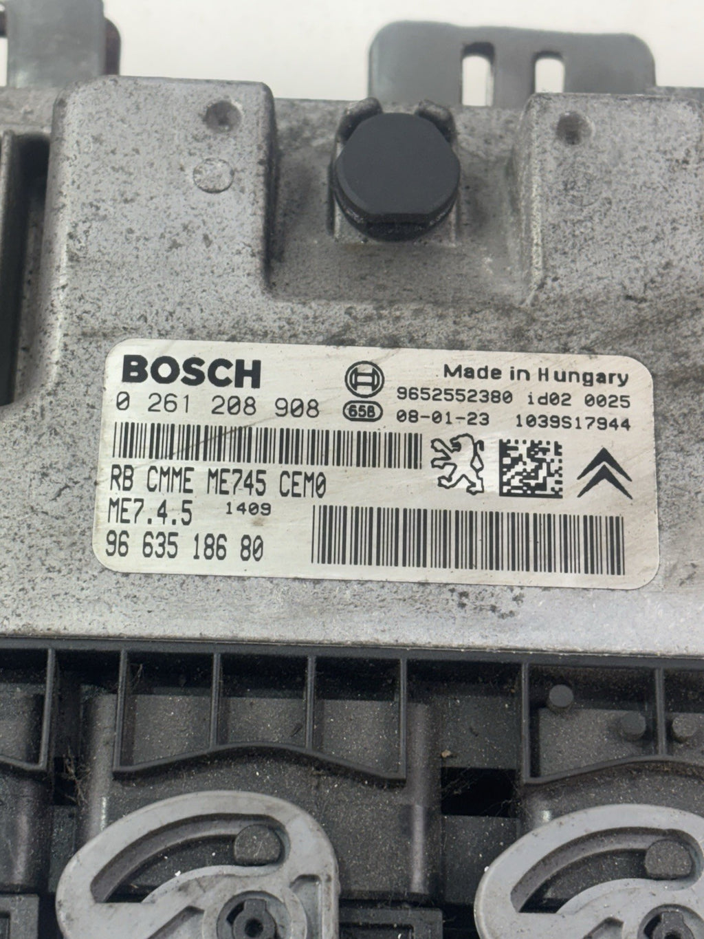 Image #2