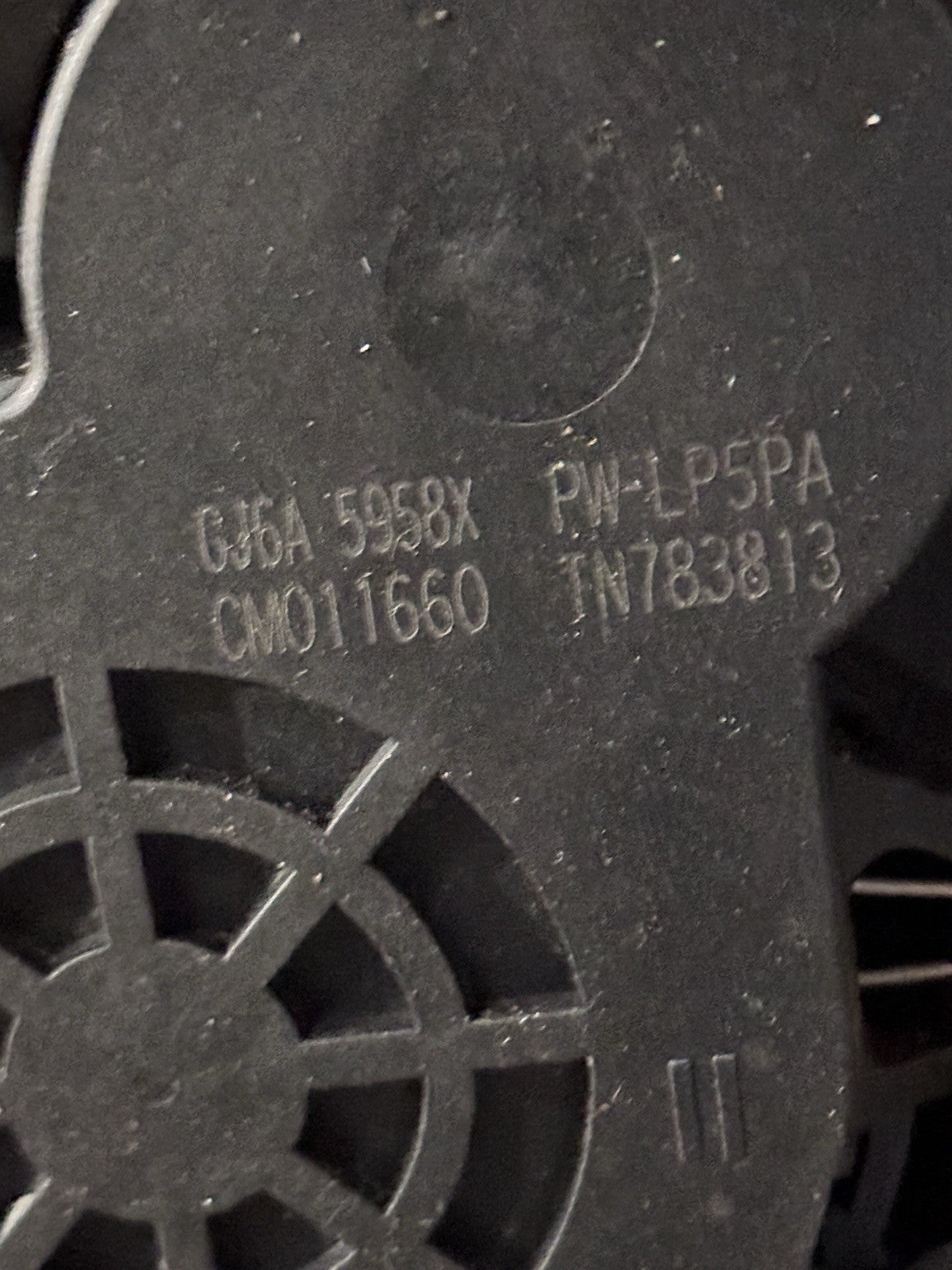 Image #3