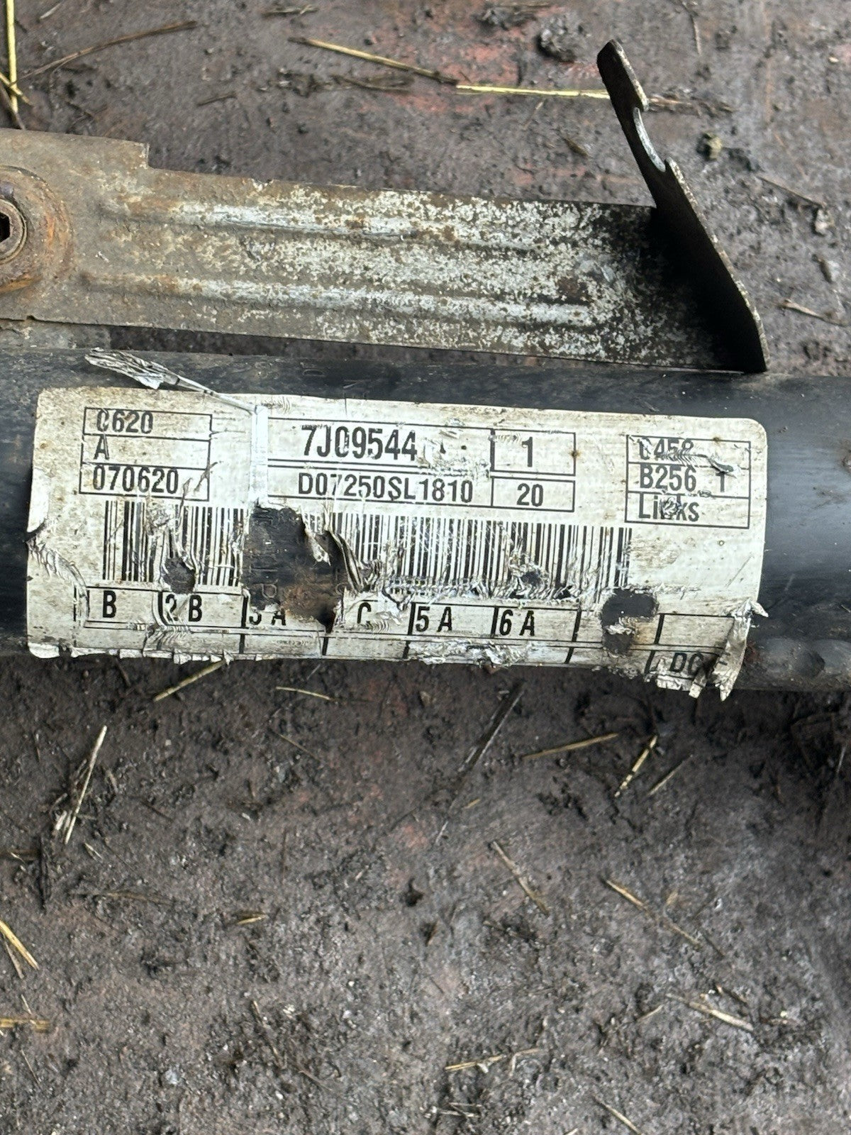 Image #3
